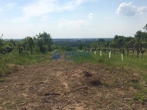 Na predaj vinica s chatkou v chatovej oblasti v obci Černík - 8