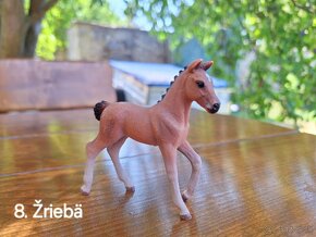 Schleich kone a príslušenstvo - 8