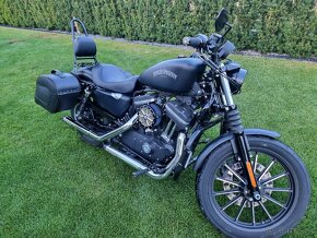 Harley Davidson sporster Iron 883 - 8