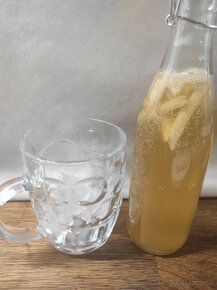 Kombucha - Scoby - Čajova huba - 8