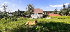 Predaj rodinného domu v obci Ladzany s veľkým pozemkom - 8