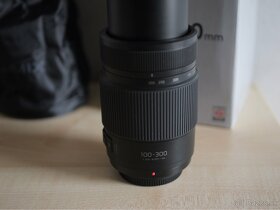 Panasonic Lumix G Vario 100 – 300 mm F4.0 – F5.6 Power O.I.S - 8