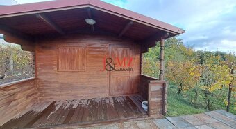 Stavba 122 m2 a drevená chata, pozemok 2.600 m2, Levice (SM- - 8