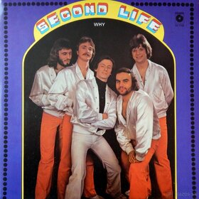 Predám  LP Bee Gees, Rolling Stones, Smokie, Wings - 8