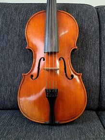 Viola 39,5 - 8