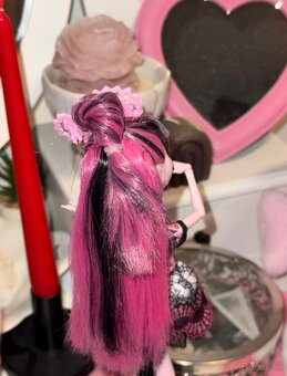 Monster High Draculaura Exchange Student - 8