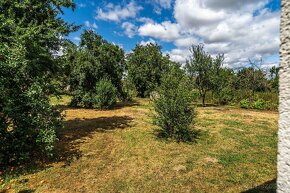 Na predaj rodinný dom so záhradou (1574 m2), obec Nedanovce. - 8