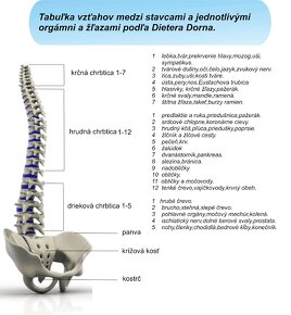 Predám MAGNETOTERAPIA BIOTORUS plus ULTICARE. - 8