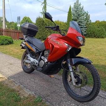 Honda Transalp 650 - 8