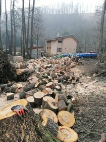 Rizikové orezávanie a výrub stromov, kosenie údržba záhrad - 8