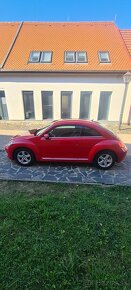 VW BEETLE - 8