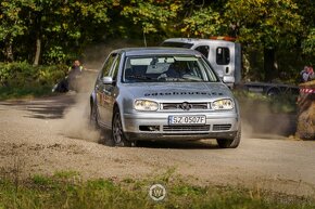 Volkswagen Golf Mk4 Arl Tdi 4motion - 8