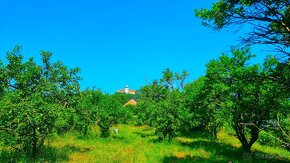 Rozľahlý pozemok na stavbu domu/domov pod Smolenickým zámkom - 8