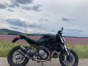 Ducati Monster 821 - 8