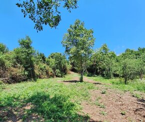 Rekreačný pozemok Jablonov nad Turňou (386m2) - 8