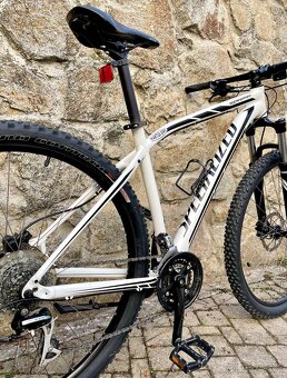 Specialized Rockhopper 29” L - 8