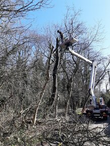 Rizikové pilenie stromov arboristika - 8