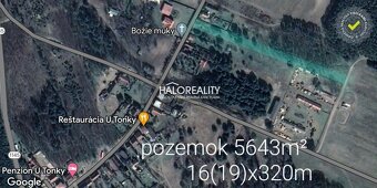 HALO reality - Predaj, pozemok   5643 m2 Borský Svätý Jur, T - 8