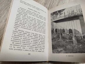 MLADÝ VČELÁR--1965--Kolektív autorov--malý formát--tvrdá väz - 8