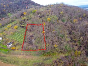 Širkovce - 2.000 m2 Pozemok na CHATU / VINICU - 8