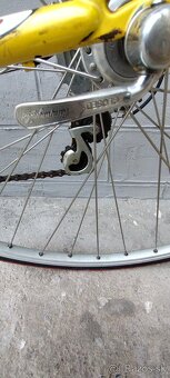 CAMPAGNOLO / Olmo retro - 8