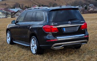 Mercedes GL350 190kw x166 - 8