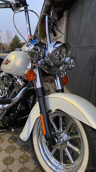 Harley Davidson Softail 110” - 8