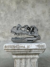 Replika lebky dinosaura Ceratosaurus Múzejná kvalita, 20cm - 8