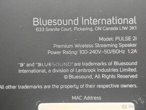 BlueSound Pulse 2i - 8