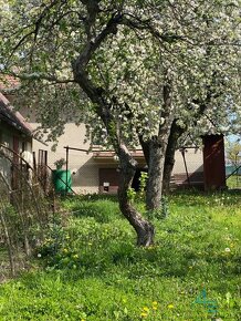 Rodinný dom s  garážou a veľkou záhradou. - 8