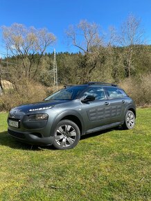 C4 cactus - automat - 8