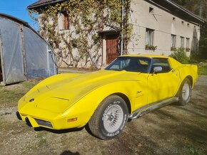 Chevrolet Corvette C3 1977 Stingray - 8