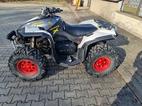 Can am renegade 800 - 8