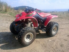 Honda TRX 250 ex - 8