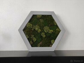 Predám obraz z machu: Hexagon šedý M (50 x 45 cm) - 8