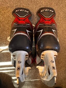 BRUSLE CCM FT 460 JETSPEED, VEL. 42/7 EE - 8