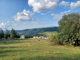 Ustajnenie,výcvik,preprava,ošetrenie koni-dornovou metódo - 8