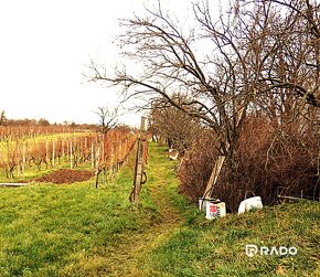 RADO | Vinohradnícky domček s pozemkom v meste Skalica - 8