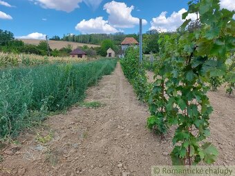 Pozemok s pôvodnou pivnicou na viničnom vŕšku v obci Modra - 8