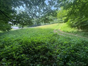 Stavebný pozemok 1000m2, Trenčín tichá lokalita - 8