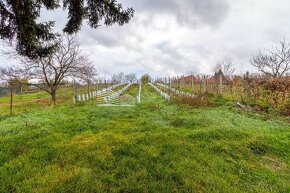 Predaj 8,5 á stavebný pozemok s veľkou pivnicou - Šenkvice - 8