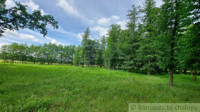 Lesný pozemok 37 000 m2 - 3,7 ha v obci Borský Mikuláš, 60 - 8