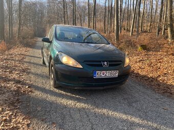 Peugeot 307 - 8