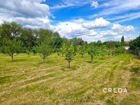 CREDA | predaj kaštieľsky park so stavebným povolením, Bojná - 8