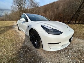 Tesla model 3 performance 2021 - 8