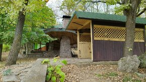 Krásny vinohrad s chatou v Tokajskej oblasti, Viničky - 8