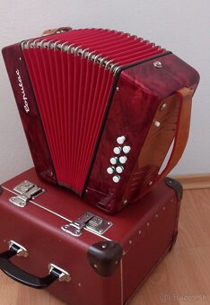 Heligonka harmonika - 8