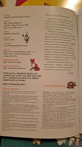 Pomocník zo SJ a literatúry 5.-9.ročník ZŠ - 8