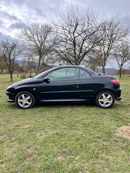 Peugeot 206 CC - 8