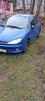 Peugeot 206 2.0 hdi - 8